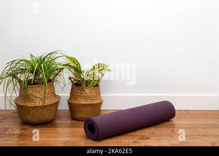 Palmier ponytail et plante Croton dans le panier avec tapis de yoga contre le mur blanc Banque D'Images