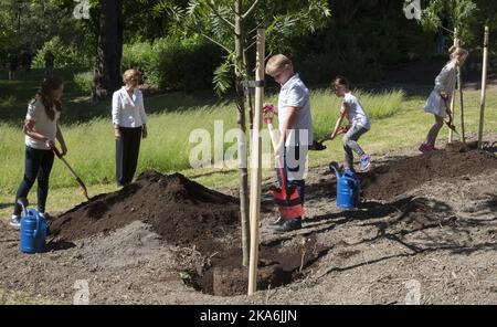 OSLO, Norvège 20160613. De gauche à droite : la princesse Ingrid Alexandra, le prince Sverre Magnus, Emma Tallulah Behn et Leah Isadora Behn plantent des arbres dans le parc du Palais en alonng avec la reine Sonja et le roi Harald. Photo: Berit Roald / NTB scanpix Banque D'Images