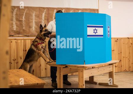 Jérusalem, Israël. 01st novembre 2022. Hilit vote avec son chien 'democratie' dans un bureau de vote lors des élections générales israéliennes de 2022. Crédit : Ilia Yefimovich/dpa/Alay Live News Banque D'Images