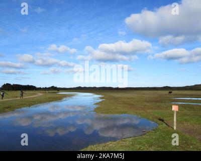 Les observateurs d'une promenade sur un chemin dans "De Nederlanden" sur l''île de Texel en Hollande (Pays-Bas). Les gens marcher dans une zone nature Banque D'Images