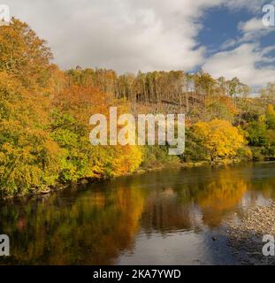 Arbres d'automne colorés se reflétant dans la rivière South Tyne , Northumberland Banque D'Images