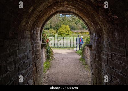 Tunnel vers Eagle Pond, Newstead Abbey, Notinghamshire, Angleterre, Royaume-Uni Banque D'Images