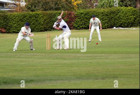 Match de cricket à Harrold, Bedfordshire, Royaume-Uni. Criketers vêtus de blanc. Banque D'Images