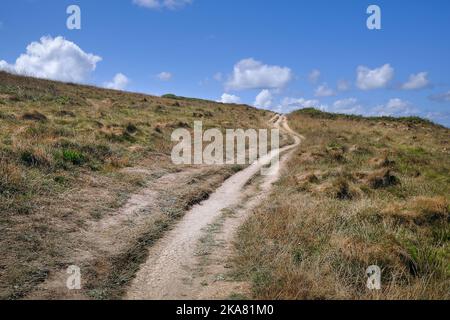 Sentier érodé sur le Warren, à Pentire point East, à Newquay, en Cornouailles, au Royaume-Uni. Banque D'Images