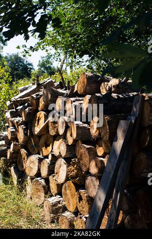 Une pile de bois de chauffage, bois scié dans l'arrière-cour. Photo verticale. Banque D'Images