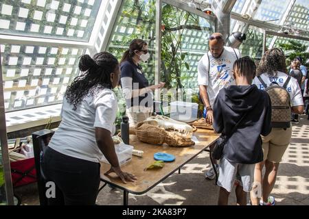 Atlanta USA 8th Oct 2022: Le personnel du zoo introduit la connaissance du corcodile aux touristes dans LE SLIMY SQUAMEUX SPECTACULAIRE, le nouveau amphibien et reptile Banque D'Images