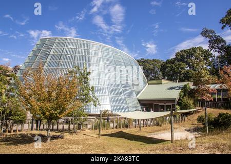 Atlanta USA 8th Oct 2022: La vue extérieure du SLIMY SQUAMEUX SPECTACULAIRE, le nouveau complexe amphibien et reptile de pointe Banque D'Images