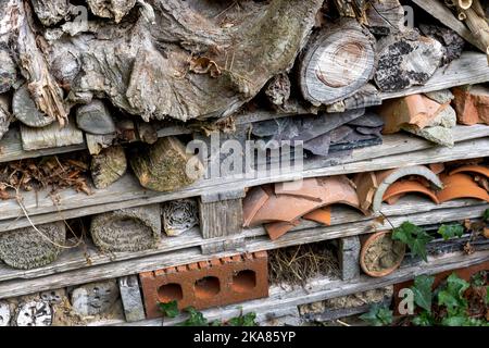 Vue rapprochée d'un hôtel d'insectes. Banque D'Images