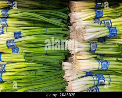 Augusta, GA USA - 12 22 21: Magasin de détail de fruits et légumes frais, petits pains d'oignons verts Banque D'Images