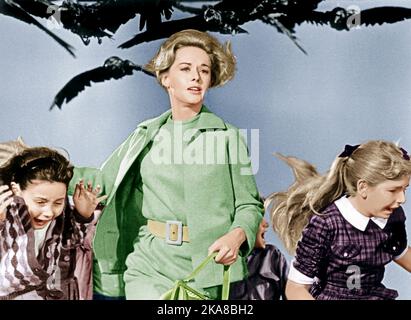 Les oiseaux Tippi Hedren Banque D'Images