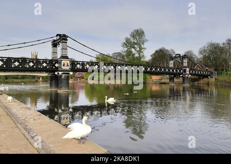 Le pont du Ferry au-dessus de la rivière Trent, Burton upon Trent Town, Staffordshire, Angleterre; Royaume-Uni Banque D'Images