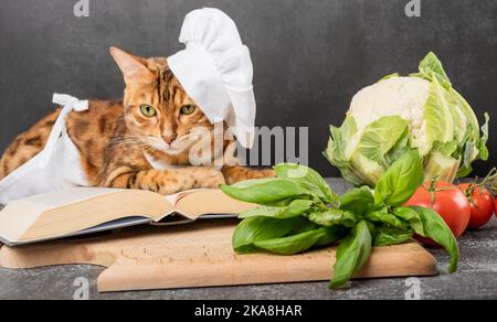 Un jeune chat domestique dans un tablier lit un livre de recettes sur un fond sombre. Banque D'Images