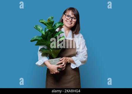 Femme en tablier avec plante en pot, sur fond bleu Banque D'Images