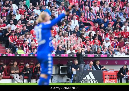 Munich, Allemagne . 29th octobre 2022. Julian Nagelsmann Trainer FCB, FC Bayern München 6 : 2 - FSV Mainz 05, Fussball Bundesliga, Allianz Arena, Muenchen. Crédit: SPP Sport presse photo. /Alamy Live News Banque D'Images