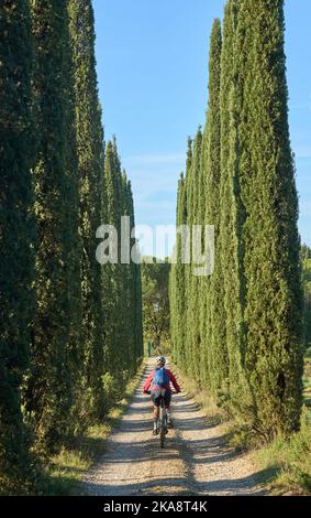 Belle femme senior à cheval sur son vélo électrique de montagne dans une avenue cyprès de la région du Chianti près de Pienza, Toscane, Italie Banque D'Images