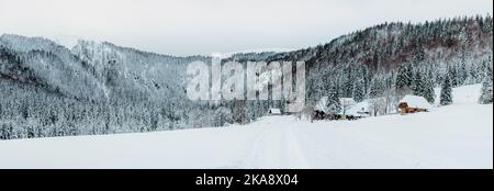 Une belle photo de montagnes enneigées et de chalets en Allemagne Banque D'Images