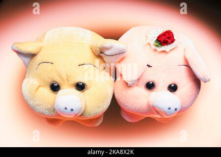 Cochons en peluche Banque D'Images