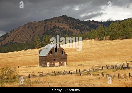 Une grange abandonnée depuis longtemps sur une colline dans la forêt nationale, dans le centre de l'État de Washington, sur la pente orientale de la chaîne des Cascades. Banque D'Images