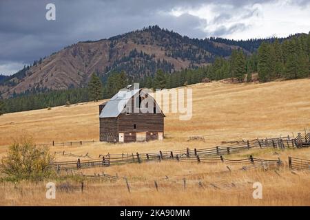 Une grange abandonnée depuis longtemps sur une colline dans la forêt nationale, dans le centre de l'État de Washington, sur la pente orientale de la chaîne des Cascades. Banque D'Images