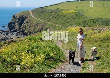 Une femme attirante marchant son animal de compagnie labradors sur le South West Coast Path à Lizard point, Cornwall, Royaume-Uni - John Gollop Banque D'Images