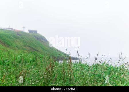 paysage de bord de mer flou, mise au point sur l'herbe proche Banque D'Images