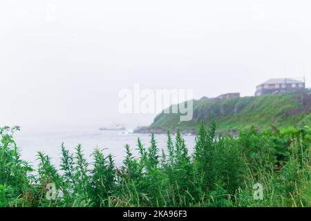 paysage de bord de mer flou, mise au point sur l'herbe proche Banque D'Images