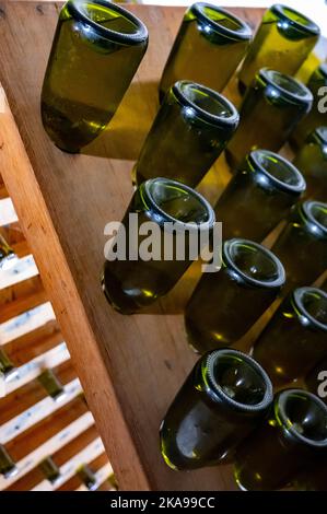 Marcher dans de longues grottes profondes avec des bouteilles poussiéreuses sur des casiers, faire du champagne mousseux à partir de raisins de Chardonnay et pinor noir à Epernay, Banque D'Images