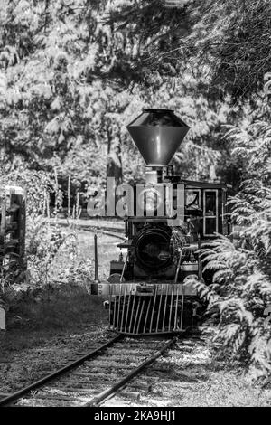 Un cliché en niveaux de gris d'un ancien train de vapeur Banque D'Images