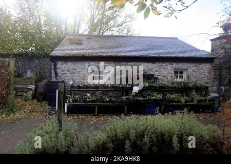 Le hangar de potage, Cowbridge Physic Garden, début de l'automne 2022. Octobre. Banque D'Images