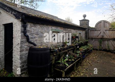 Le hangar de potage, Cowbridge Physic Garden, début de l'automne 2022. Octobre. Banque D'Images