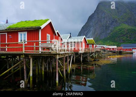 Maisons traditionnelles en bois rouge sur toit de tourbe à Reine, Lofoten, Norvège Banque D'Images