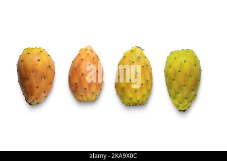 Cactus fruits isolés sur fond blanc. Banque D'Images