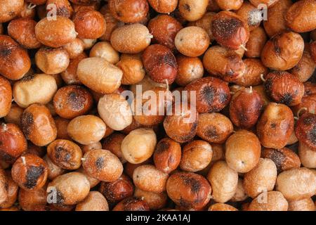 Vue de dessus du tas d'elaeagnus russian olive silverberry. Mise au point sélective de la zone. Banque D'Images