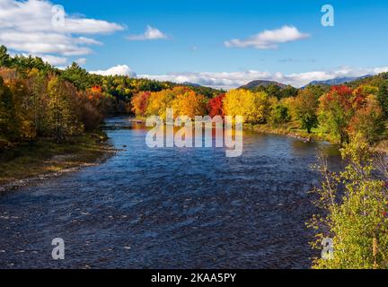 Des arbres d'automne colorés autour de la rivière Saranac dans les Adirondacks dans l'État de New York en automne Banque D'Images