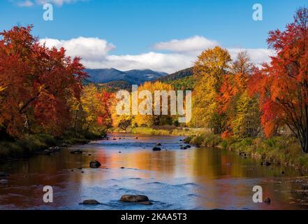 Des arbres d'automne colorés autour de la rivière Saranac dans les Adirondacks dans l'État de New York en automne Banque D'Images