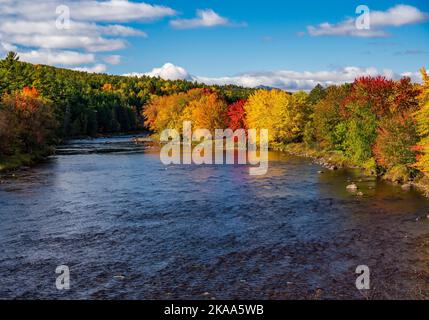 Des arbres d'automne colorés autour de la rivière Saranac dans les Adirondacks dans l'État de New York en automne Banque D'Images