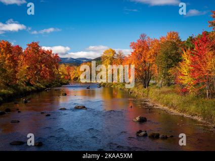 Des arbres d'automne colorés autour de la rivière Saranac dans les Adirondacks dans l'État de New York en automne Banque D'Images