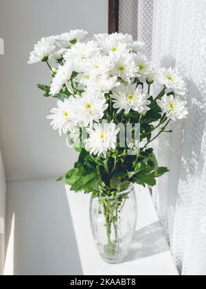Bouquet de fleurs de chrysanthème blanc dans un vase en verre sur le rebord de la fenêtre. Lumière du soleil et ombres géométriques. Symbole de fragilité et de légèreté. Banque D'Images