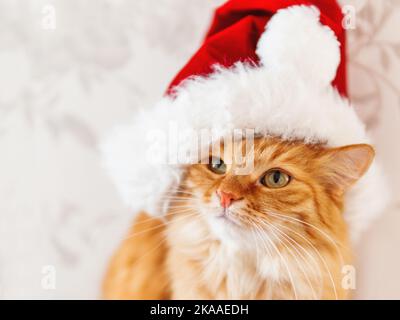 Gros plan de chat au gingembre mignon en chapeau de Père Noël. Animal de compagnie doux regardant dans l'appareil photo. Symbole Noël ou nouvel an. Banque D'Images