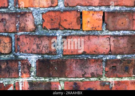 Applique un effet de flou artistique au mur de briques de couleur rouge, large panorama de la maçonnerie. Arrière-plan de vieux mur de brique sale vintage avec plâtre de peeling, texture. Hors foyer. Banque D'Images