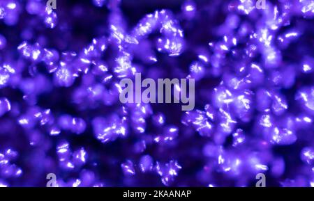 arrière-plan bokeh bleu créé par des lumières néon. Photo de haute qualité Banque D'Images