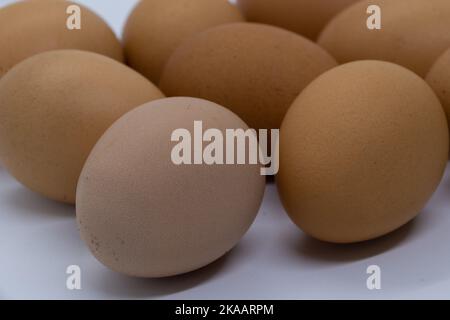 Œufs de poulet de différentes couleurs sur fond blanc Banque D'Images