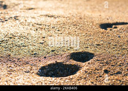 L'empreinte d'un homme sur le sable au bord de la mer. Vue avant. Banque D'Images