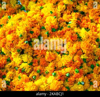 Arrière-plan orange Marigold dans un motif harmonique Banque D'Images