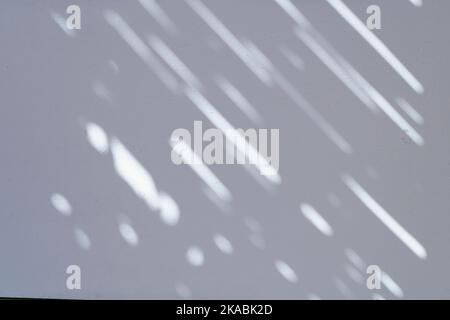 Effet de superposition des ombres pour la photo. Ombres des feuilles des arbres et des branches tropicales sur un mur blanc en plein soleil. Photo de haute qualité Banque D'Images