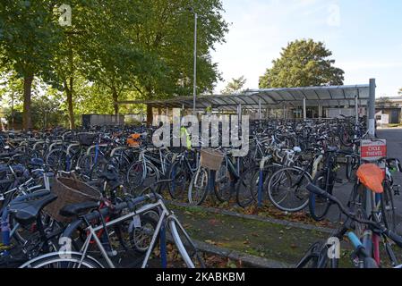 Des centaines de vélos dans le parking pour vélos à l'extérieur de la gare d'Oxford, Oxford, Royaume-Uni Banque D'Images