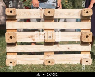 Travailler avec le concept de bois, faire des meubles en bois. Banque D'Images