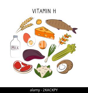 Vitamine H Biotine. Groupes de produits sains contenant des vitamines. Ensemble de fruits, légumes, viandes, poissons et produits laitiers Illustration de Vecteur