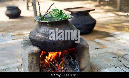 Feuilles de Neem vert connues sous le nom d'Azadirachta indica bouillies dans l'eau sur le chulha. Neem en ébullition, nimtree ou lilas indien sur poêle à argile. Utilisation village indien pour Banque D'Images