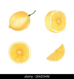 Ensemble aquarelle de citrons. Fruits entiers et tranches de citron. Objets isolés sur fond blanc. Objets prêts à l'emploi pour l'impression sur tissu et papier Banque D'Images